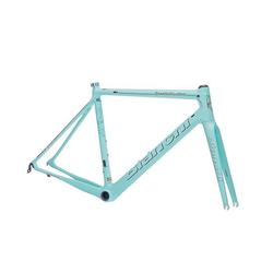 Bianchi Specialissima Frameset