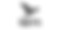 tern-logo.jpg