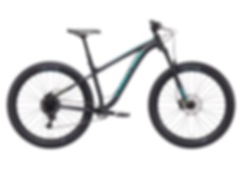 Kona Big Honzo